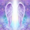 Custom Coffee Cup Custom Coffee Cup