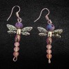 Assorted Crystal Colors Dragonfly Earrings Assorted Crystal Colors Dragonfly Earrings