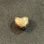 925 SS Charm Our Panda Heart "Sister"